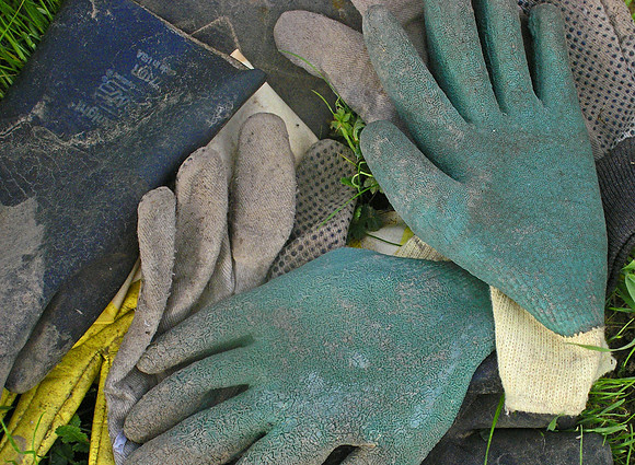gloves cropped copy