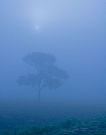 Cool and Foggy