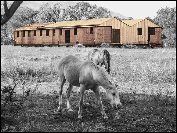 Nothing Wasted- Repurposed Barracks