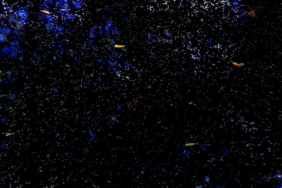The Universe from Here