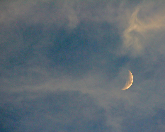 Winter Moon